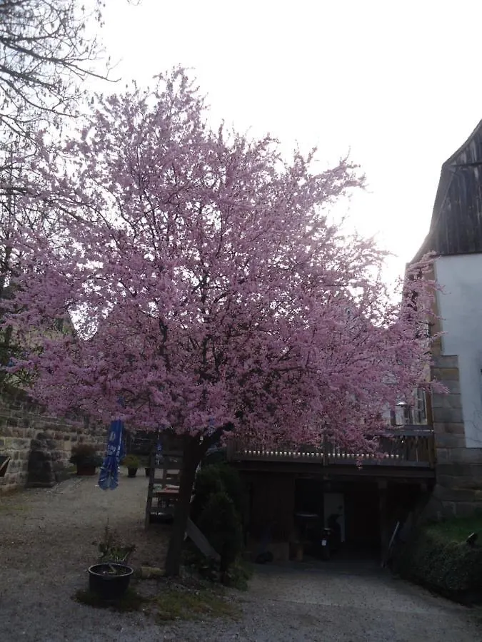 Apartment Ferienwohnung Bachmann Zwinger Melber Lauf an der Pegnitz