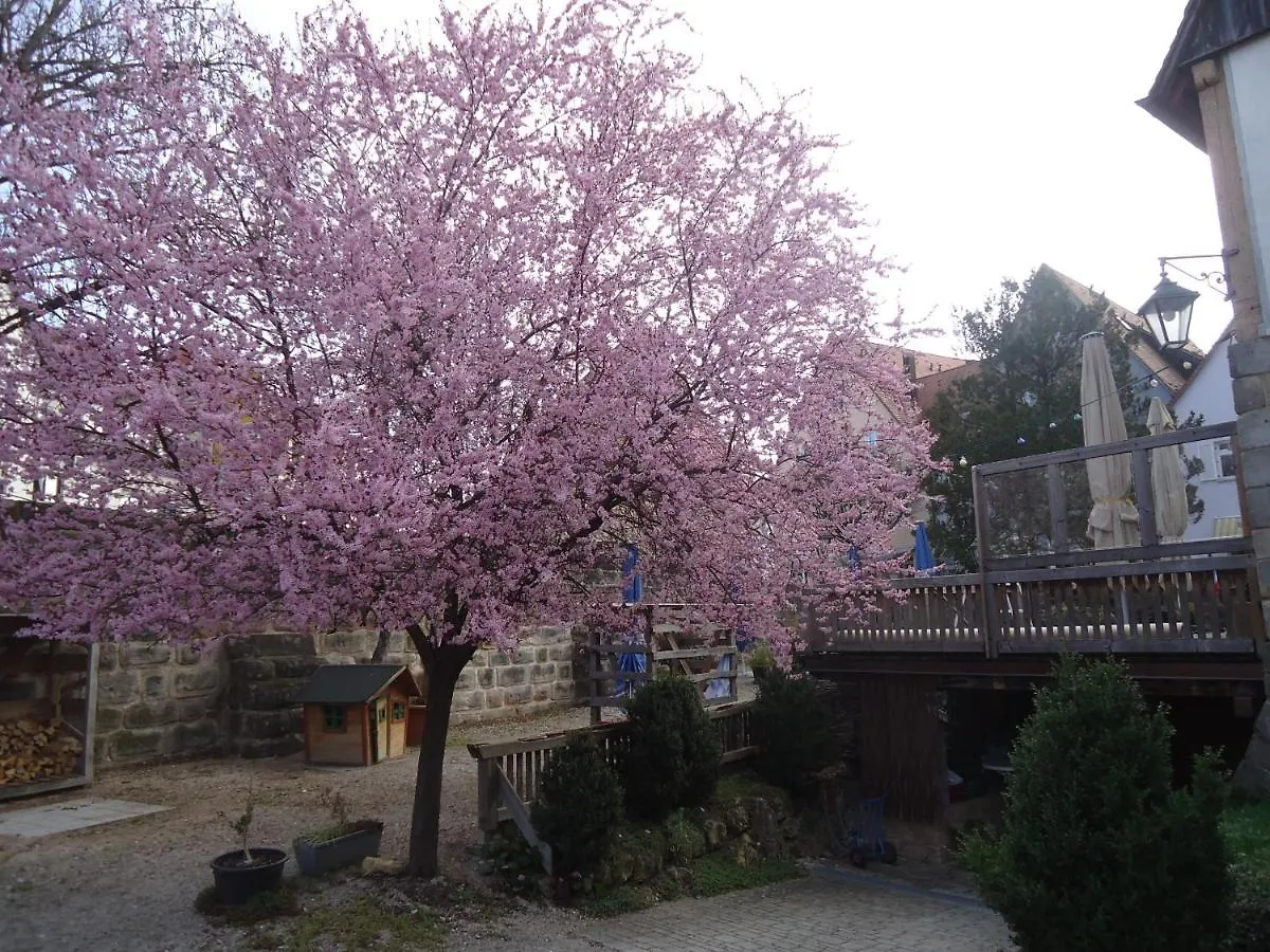 Apartment Ferienwohnung Bachmann Zwinger Melber Lauf an der Pegnitz